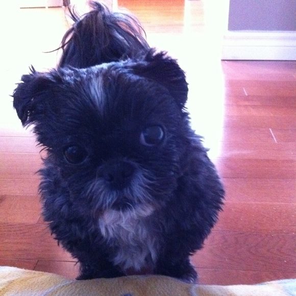 Meet your Posher, Kim - Picture 1 of 1